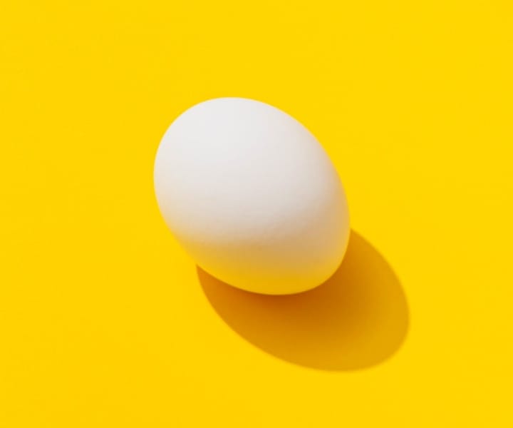 image of a white egg